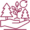 Forest Regeneration